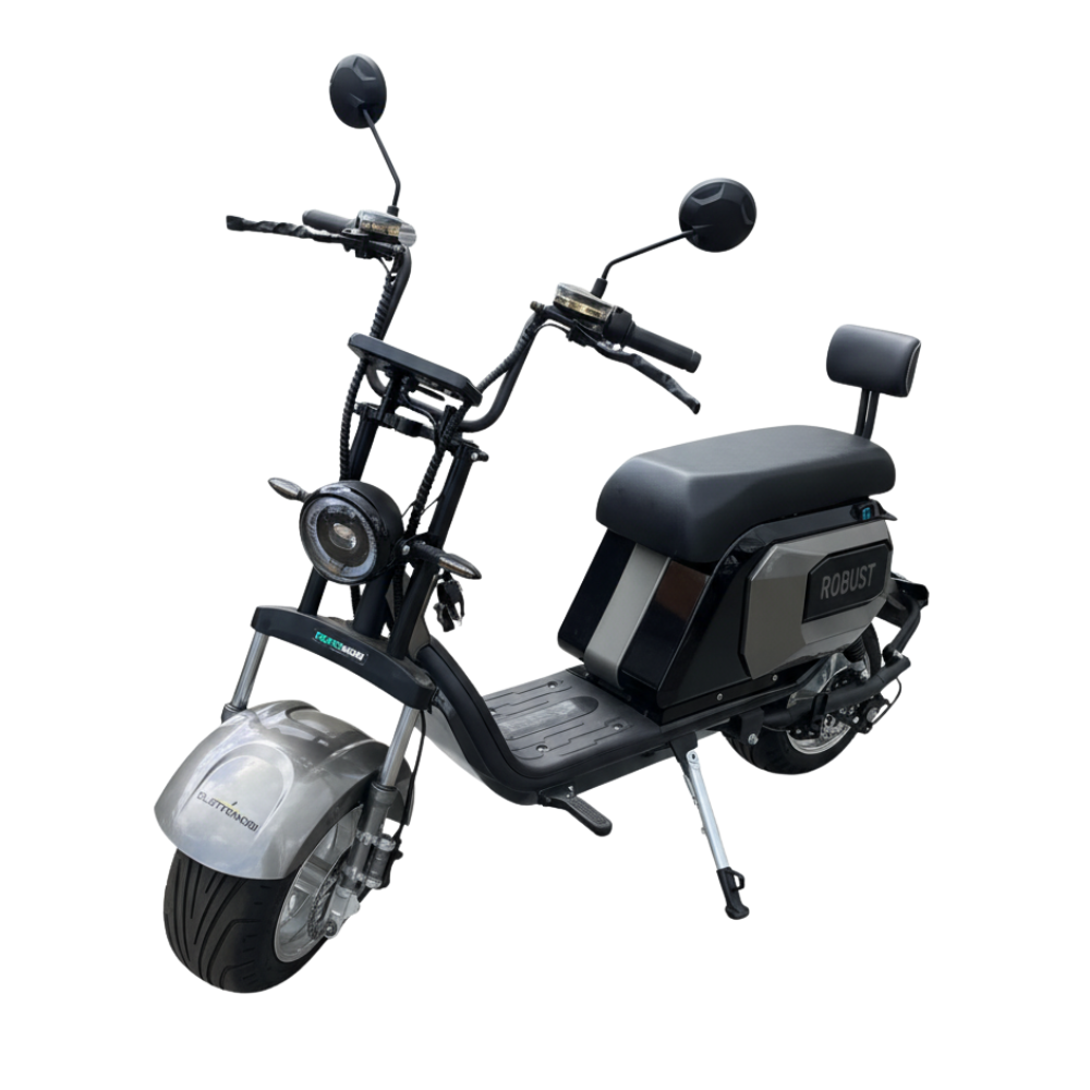 SCOOTER ROBUST 1000W